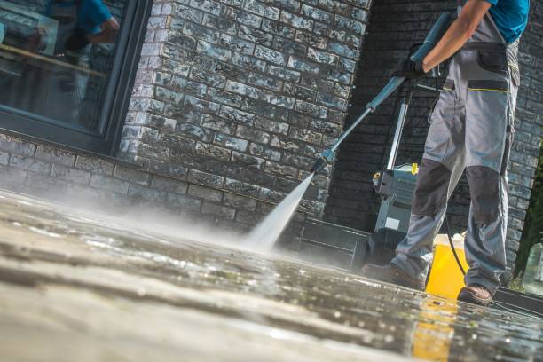 Best Solar Panel Cleaning  in Bayou Vista, TX
